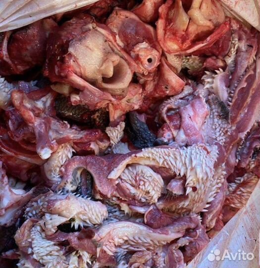 Мясной Корм для собак