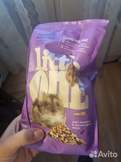 Белая крыса