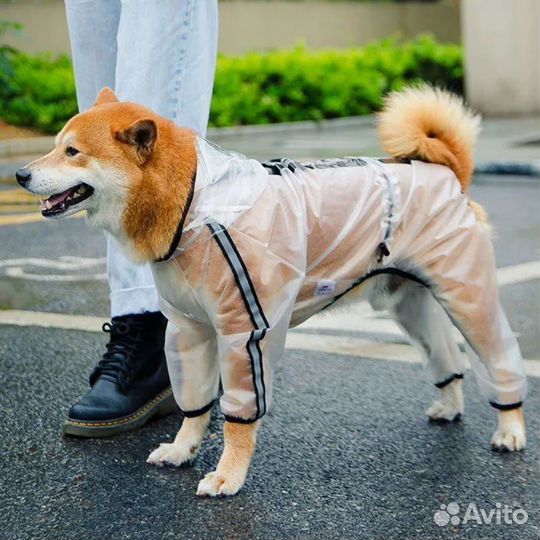 Новая одежда для собак мелких пород, дождевик