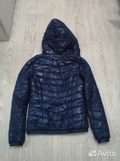 Куртка на девочку демисезонная синего цвета 44 р