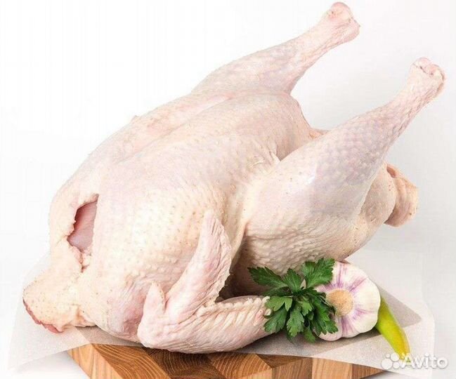 Мясо домашней птицы