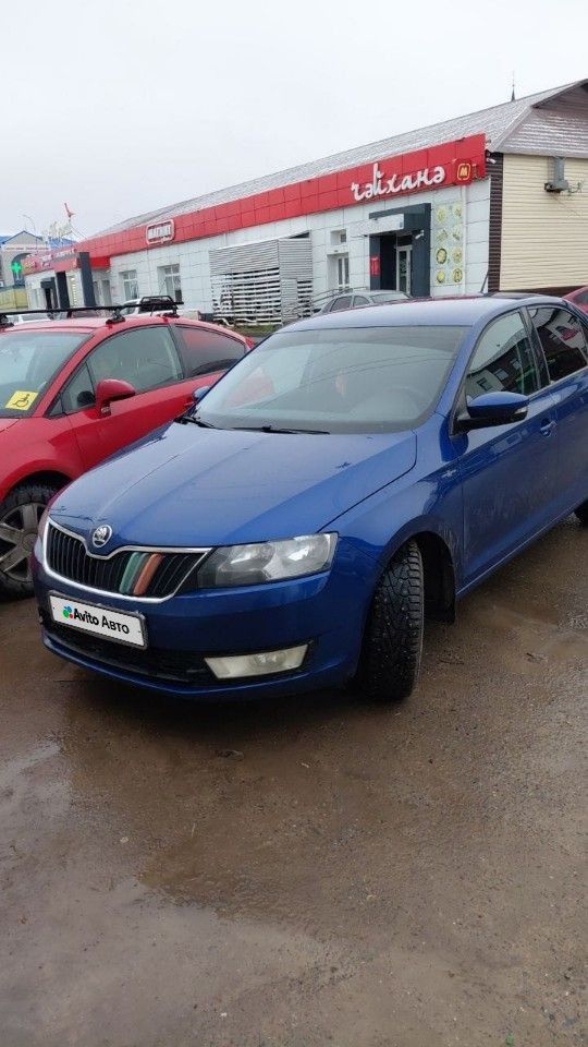 Skoda Rapid: фото из отзыва