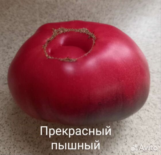 Семена коллекционных сортов томатов