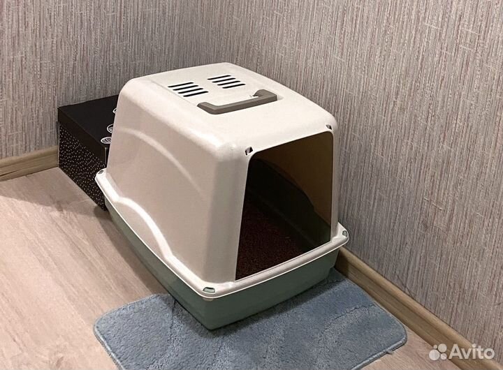 Лоток