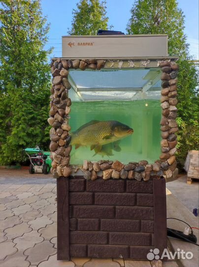 Аквариум с тумбой 500 литров