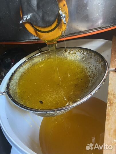 Мёд оптом 2023