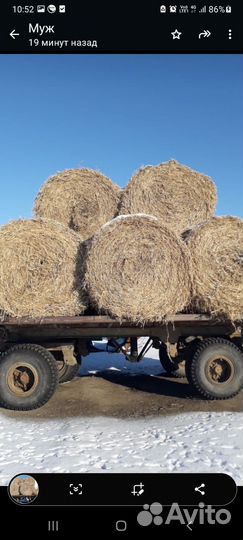 Солома соевая