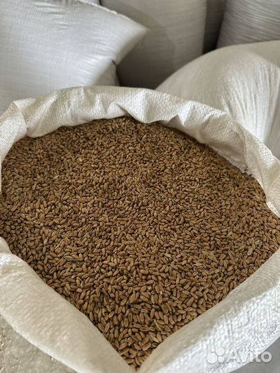 Корм корма комбикорм для крс и птиц