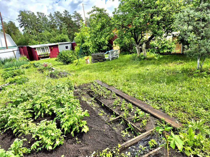 Участок 5 сот. (СНТ, ДНП)