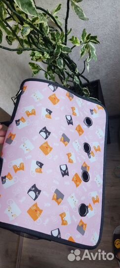 Лоток миски и переноска для кошек, савок, коврик