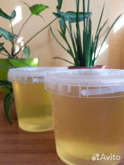 Мед натуральный майский с доставкой