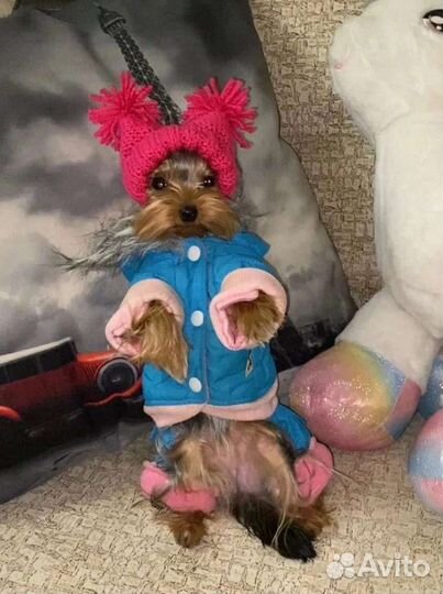 Вязание для животных