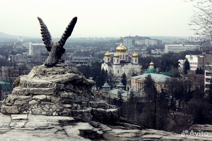 Обзорная программа 