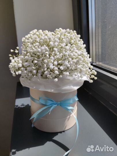 Гипсофила в коробке