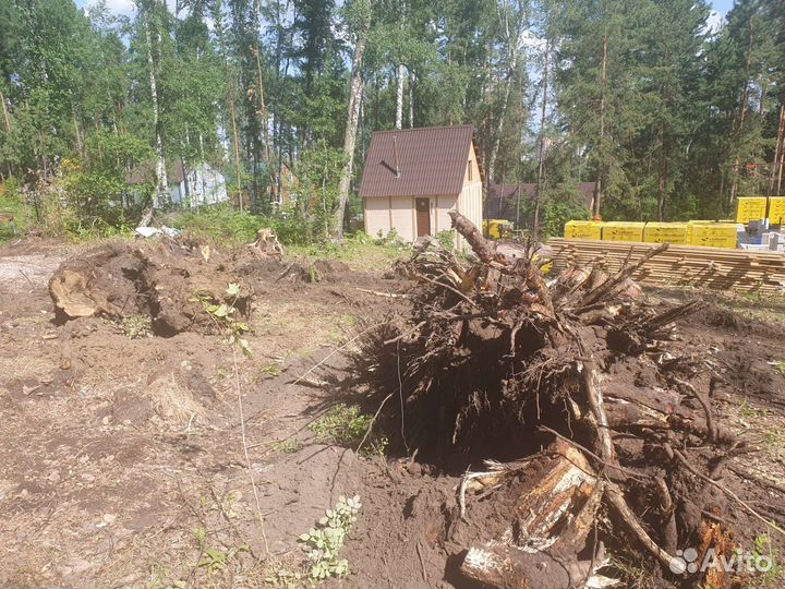 Спил деревьев. Расчистка участков. Удаление пней д