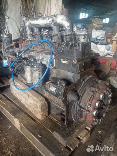 Двигатель Д 260 первой комплектации