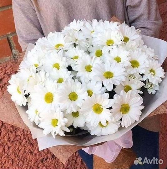 Хризантема. Букеты Цветы доставка
