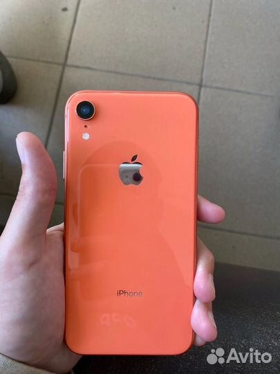iPhone XR