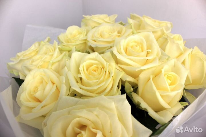 Доставка цветов букеты цветы розы