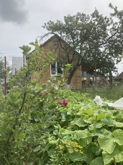 Дача 55 м² на участке 4,5 сот.