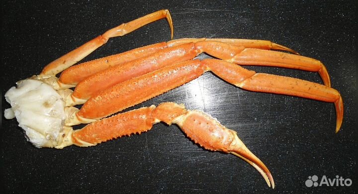 Конечности краба стригуна
