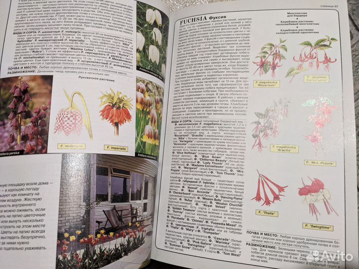 Книга Все о цветах в вашем саду Д.Г. Хессайон