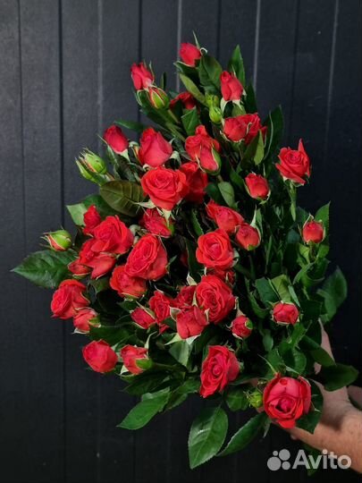 Кустовые розы оптом