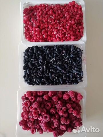 Смородина /малина/ жимолость