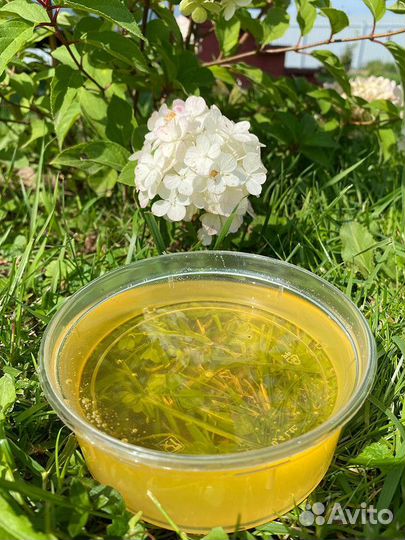 Натуральный мед оптом своя пасека