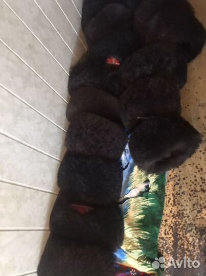 Папаха кубанка из овчины