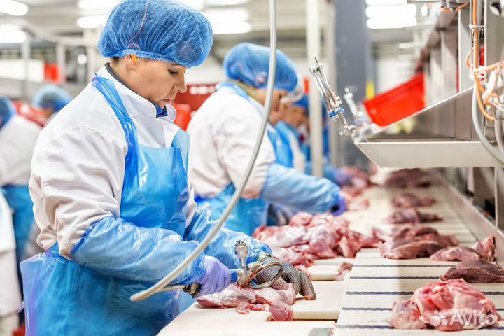 Работа вахтовым методом на птицефабрике Челябинск