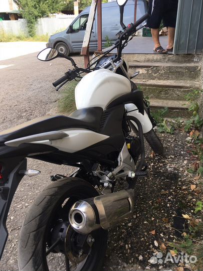 Stels Flex 250