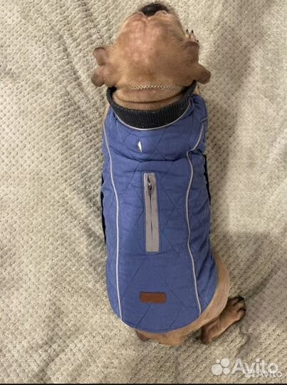 Куртка для маленькой собаки