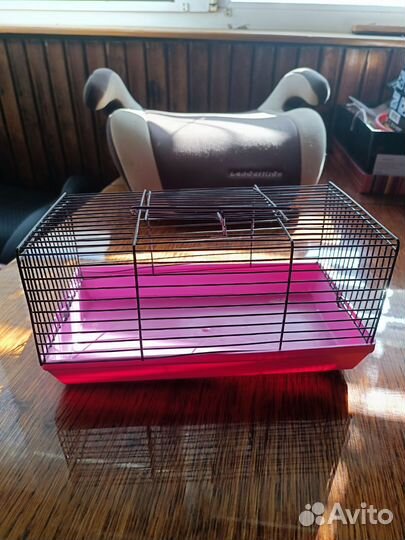 Клетка для грызунов бу
