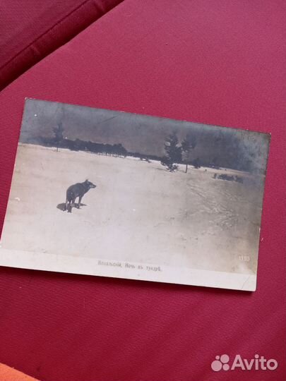 Открытка СССР