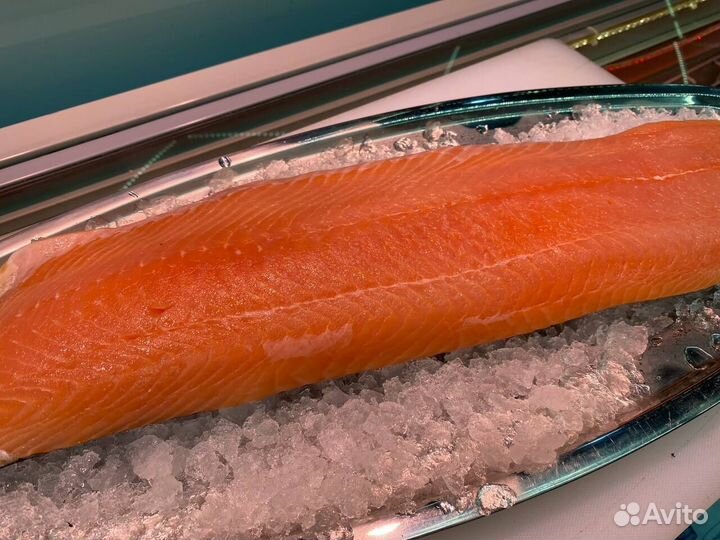 Лосось филе слабосолённый. Улов 2023. Опт