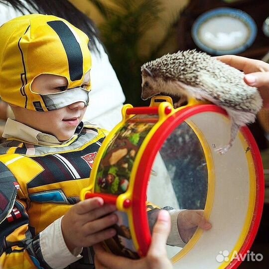 Волшебное шоу со зверятами