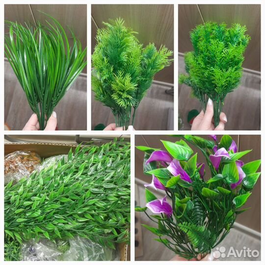 Зелень для букетов, мыловарения