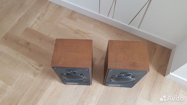 Колонки Радиотехника S30a