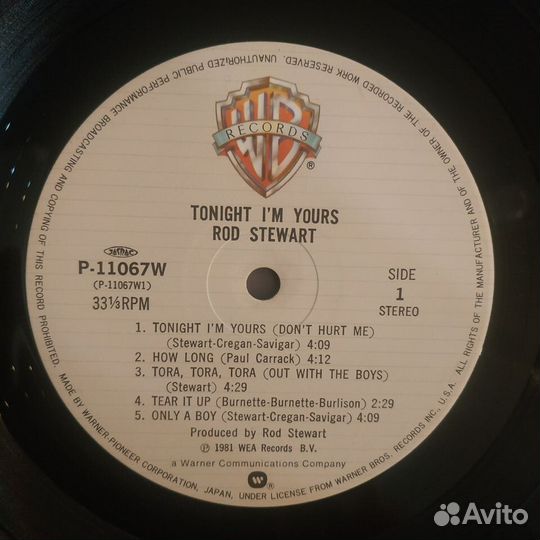 Rod Stewart - Tonight I'm Yours (1981)