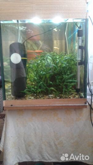 Аквариум на 160 литров