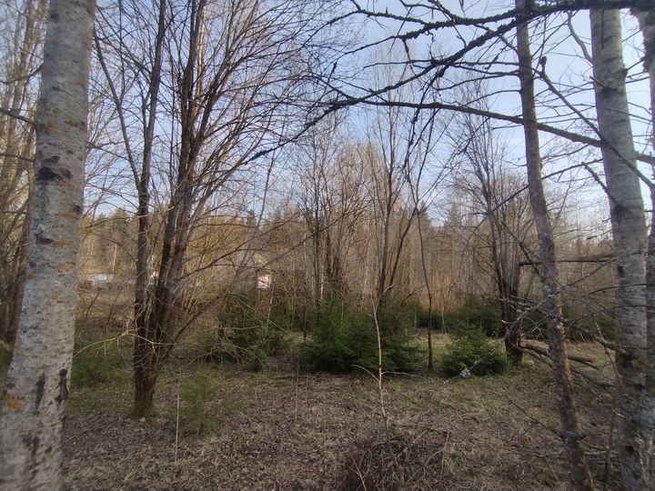 Участок 6 сот. (СНТ, ДНП)