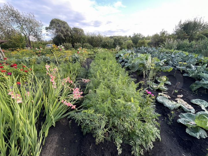 Участок 12 сот. (СНТ, ДНП)