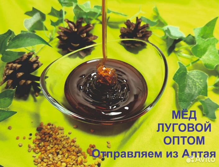 Алтайский мед (опт.)