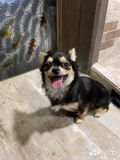 Самая красивая