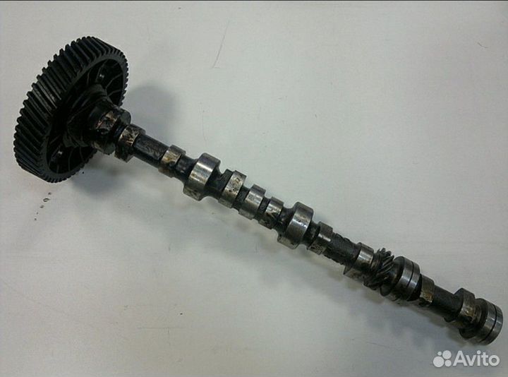 Распредвал 4216. Распредвал 4216 евро 4. Распредвал 4216 евро 4. Распредвал умз 4216. Распредвал 4216 евро 4.