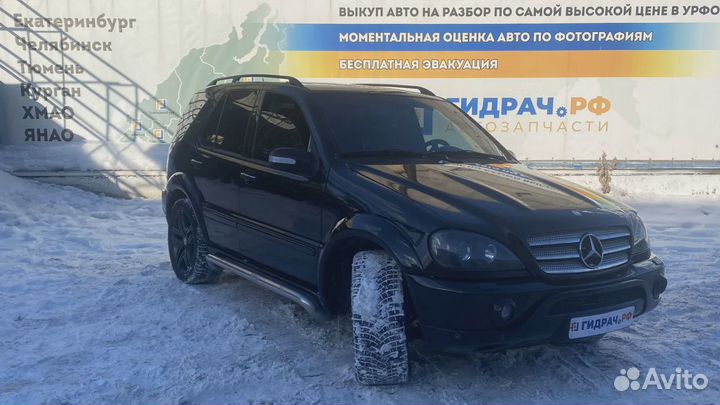 Моторчик отопителя Mercedes-Benz ML55AMG (W163) 16