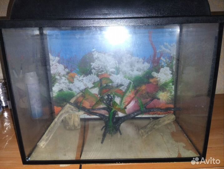 Аквариум на 35л