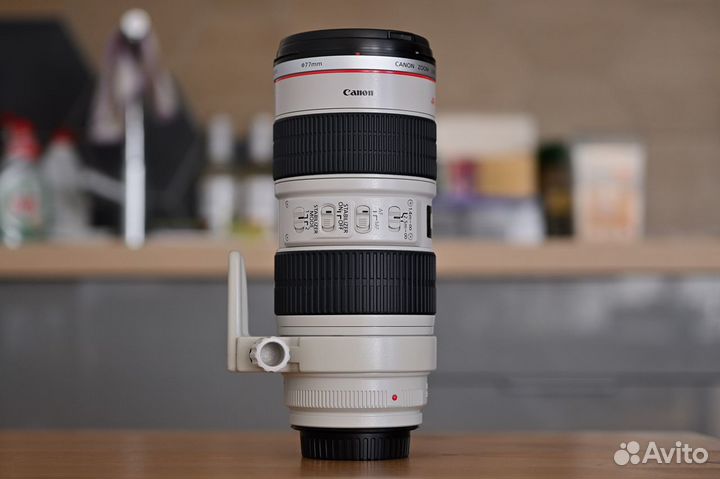 Canon EF 70-200mm f/2.8L IS USM