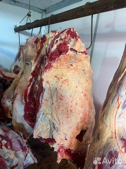 Говядина мясо